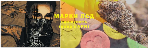 стаф Зеленодольск